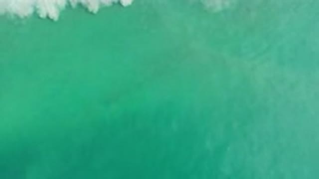 LOS CABOS MEXICO-2020: A Spectacular Sea With Clear Water Where You Can See The