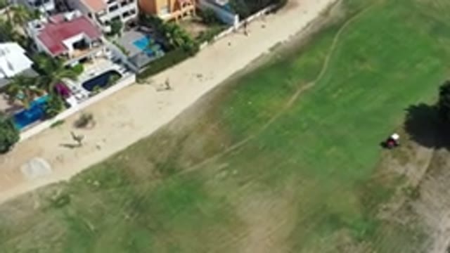 LOS CABOS MEXICO-2020: Nice Film Free Roaming People World Around The City