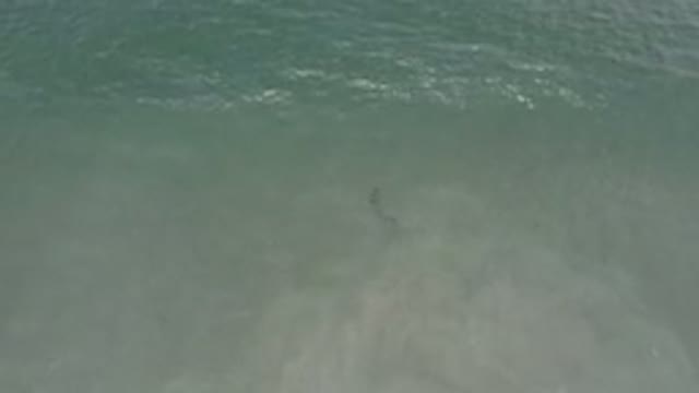 LOS CABOS MEXICO-2020: Clean And Clear Ocean Waters Over The Sand