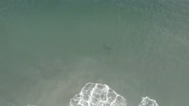 LOS CABOS MEXICO-2020: Beautiful Sky View Of White Sea Foam Riding On Top Of The Waves