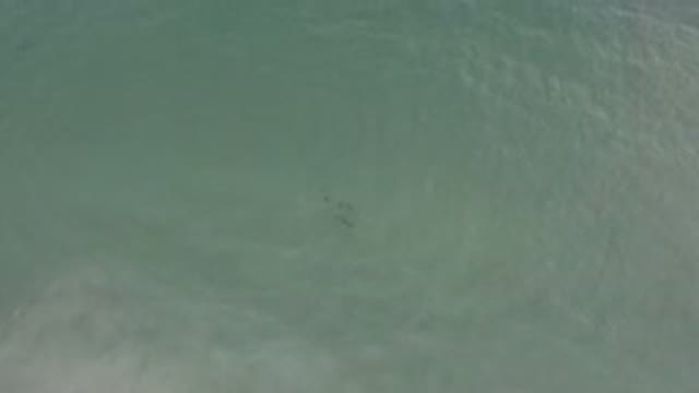 LOS CABOS MEXICO-2020: Ocean With Object Floating Calmly