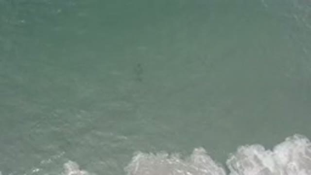 LOS CABOS MEXICO-2020: Aerial Footage Of A Wave Coming In