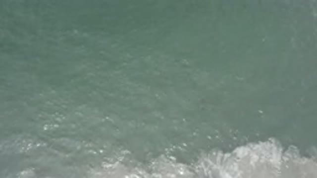 LOS CABOS MEXICO-2020: Subtle Waves Of Clean Blue Water With A Small School Of Fish