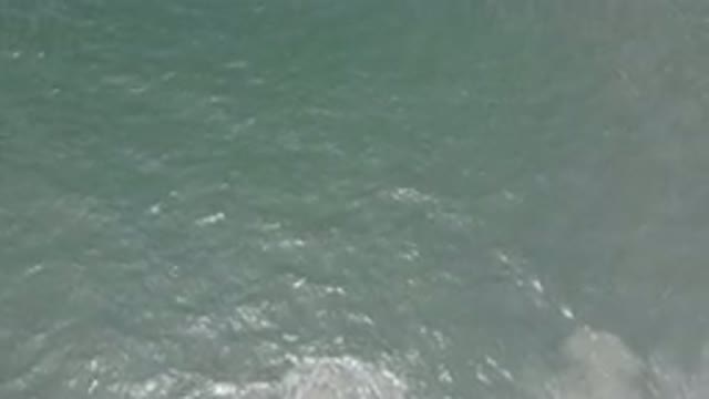 LOS CABOS MEXICO-2020: Aerial View Of The Ocean With School Of Fish