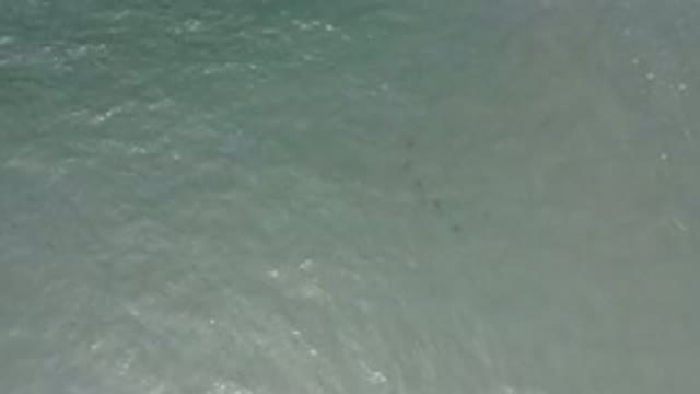 LOS CABOS MEXICO-2020: Clear Water Runs Deep