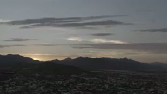 LOS CABOS MEXICO-2020: Beautiful Bird On The Beach Alone Singing