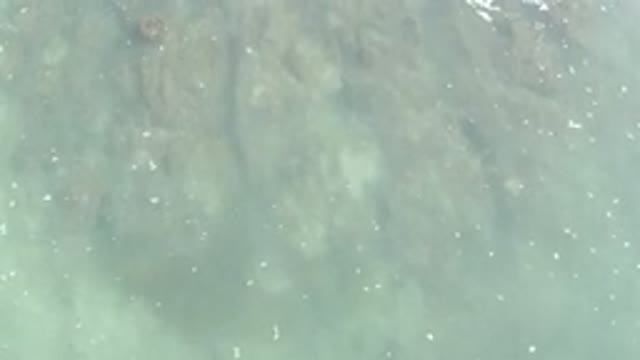LOS CABOS MEXICO-2020: Aerial Footage Of Grayish Blue Dirty Water