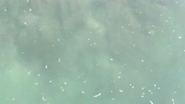 LOS CABOS MEXICO-2020: Ocean Foam Floating Peacefully Atop The Shallow Waves At