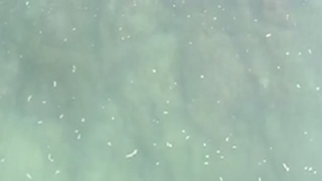 LOS CABOS MEXICO-2020: Murky Blue Ocean With Small Waves And Bubbles On Surface