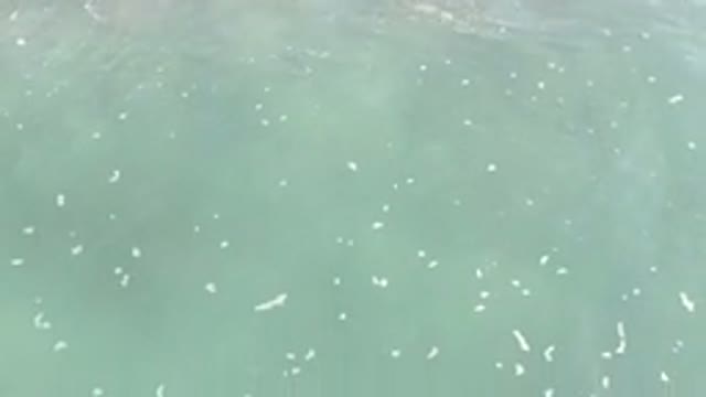 LOS CABOS MEXICO-2020: Undulating Waves Crashing Against Shallow Beach