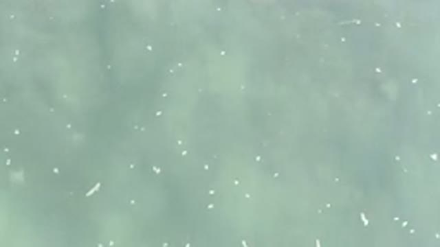 LOS CABOS MEXICO-2020: Shallow Sea With Light Green Color and Seafoam Waves