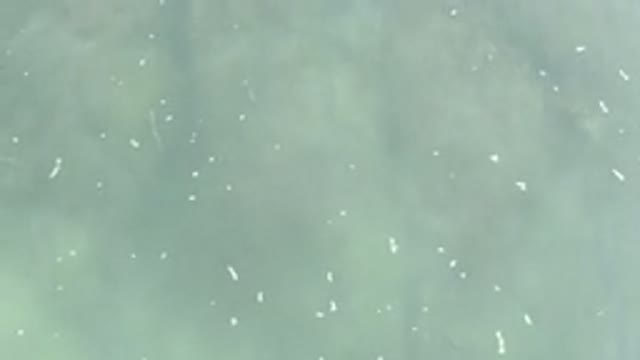LOS CABOS MEXICO-2020: Unclear Ocean Water at Beach