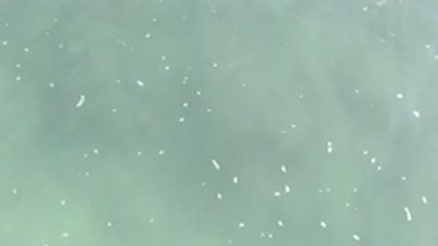 LOS CABOS MEXICO-2020: Top View Of Crystal Clear Water Where We Can See Submerged