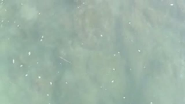 LOS CABOS MEXICO-2020: The Calm Green Water