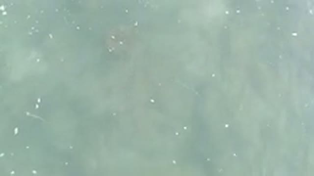 LOS CABOS MEXICO-2020: Aerial View Of Gray Green Water Gently Wave Motion Debris