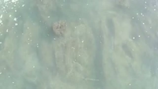 LOS CABOS MEXICO-2020: Sky View Of The Clear Ocean Water On Top Of The Rocks