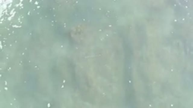 LOS CABOS MEXICO-2020: Aquamarine Water With Surf Foam Floating On The Surface