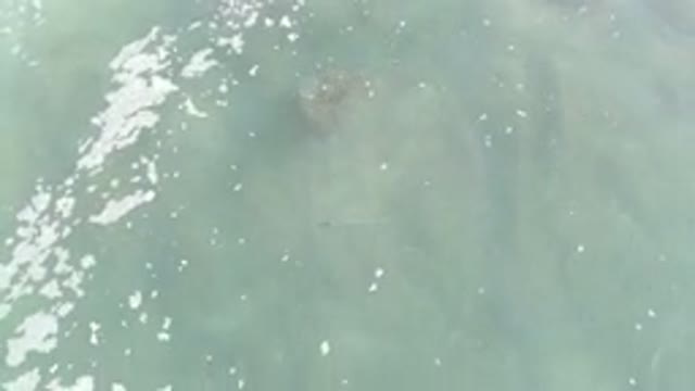 LOS CABOS MEXICO-2020: Top Down Shot Of A Clear Ocean With Seafoam And Coral