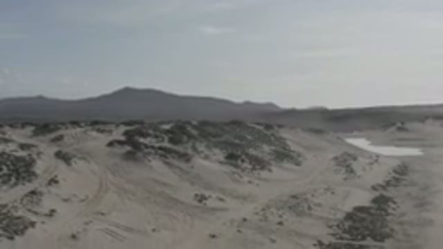 LOS CABOS MEXICO-2020: Tire Tracks Through Desert Sand Rocks And Shrubs And