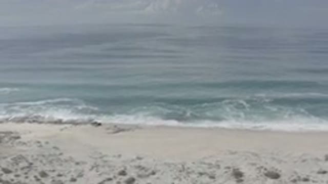 LOS CABOS MEXICO-2020: Gorgeous Blue Open On A Nice Sanded Beach