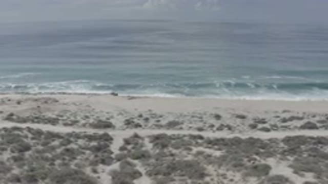 LOS CABOS MEXICO-2020: Aerial View Of Ocean And Beach With Waves Crashing On