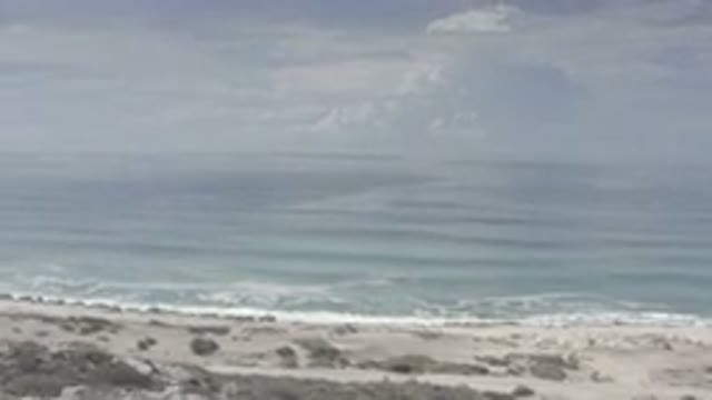 LOS CABOS MEXICO-2020: The Ocean Waves Hitting Against A Beach With Sand And Greenery