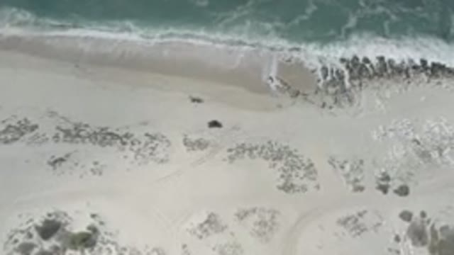 LOS CABOS MEXICO-2020: Enjoy Life With A Beautiful Landscape That Enjoy The
