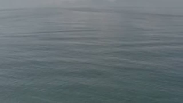 LOS CABOS MEXICO-2020: Calm Clean Water in Mexico