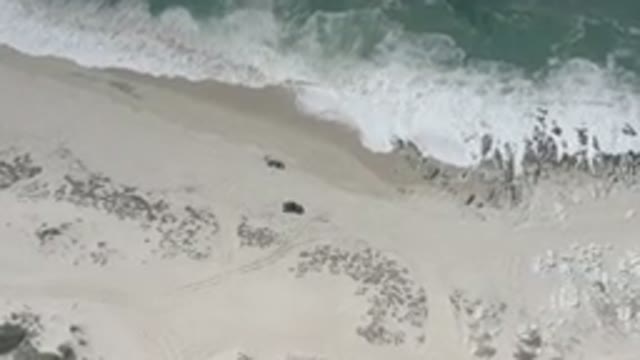 LOS CABOS MEXICO-2020: Sky View Of Pretty Beach With Waves And A Lot Of Sand