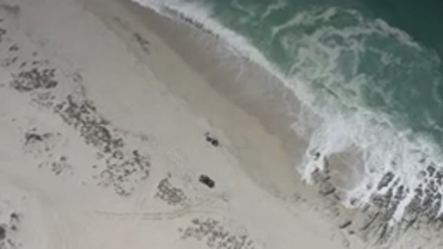 LOS CABOS MEXICO-2020: Mysterious Black Object On Ocean Shore