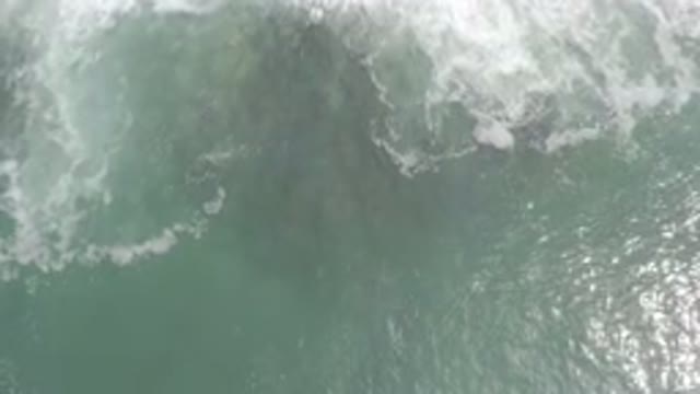 LOS CABOS MEXICO-2020: Darkness And Force Gather Under The Surface Of The Ocean