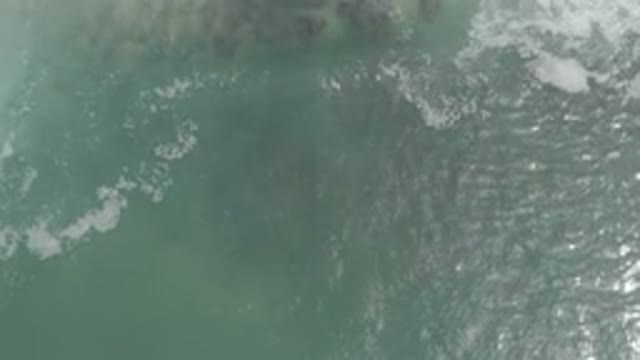 LOS CABOS MEXICO-2020: Soothing Beach Wave Making Its Way To The Sandy Shore