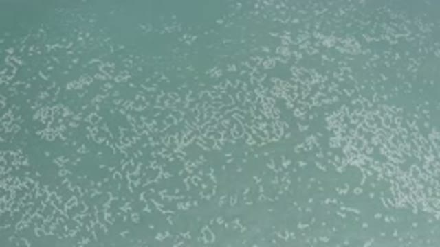 LOS CABOS MEXICO-2020: High Angle View of Moving Water in the Ocean