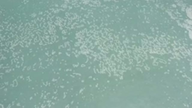 LOS CABOS MEXICO-2020: Overview Of A Body Of Water With Floating Objects