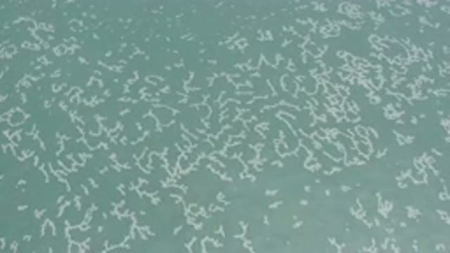 LOS CABOS MEXICO-2020: White Objects Create A Pattern In The Calm Blue Ocean