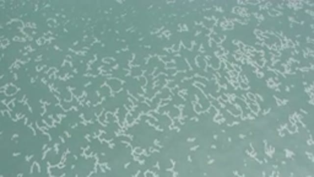 LOS CABOS MEXICO-2020: Ocean Water Swaying Back And Forth
