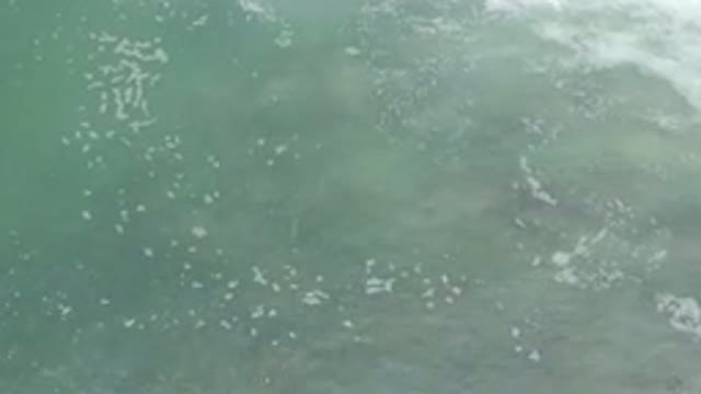 LOS CABOS MEXICO-2020: The Calm Of The Sea On Classic Summer Day