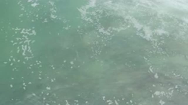 LOS CABOS MEXICO-2020: Waves Coming And Going With Great Peace