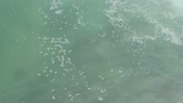 LOS CABOS MEXICO-2020: Aerial View Of Murky Gray And Blue Water