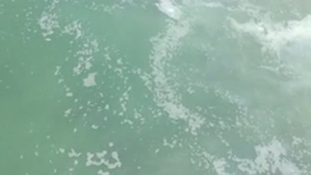 LOS CABOS MEXICO-2020: Calm Sea Water in Los Cabos