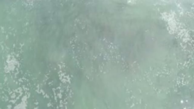 LOS CABOS MEXICO-2020: Aerial View Of Ocean With Sea Foam Floating In The Waves