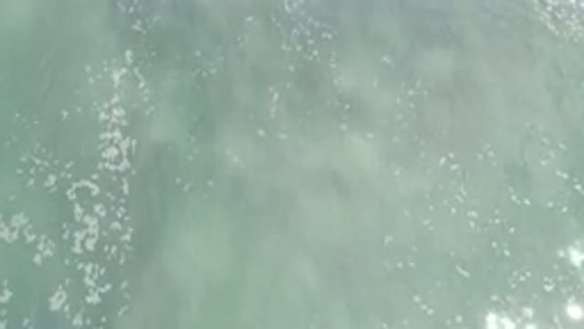 LOS CABOS MEXICO-2020: Beautiful Ocean Waves
