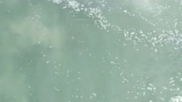 LOS CABOS MEXICO-2020: The Ocean With Gray Waves Small Ripples And Foam Floating