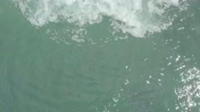 LOS CABOS MEXICO-2020: Nature That God Made Perfectly
