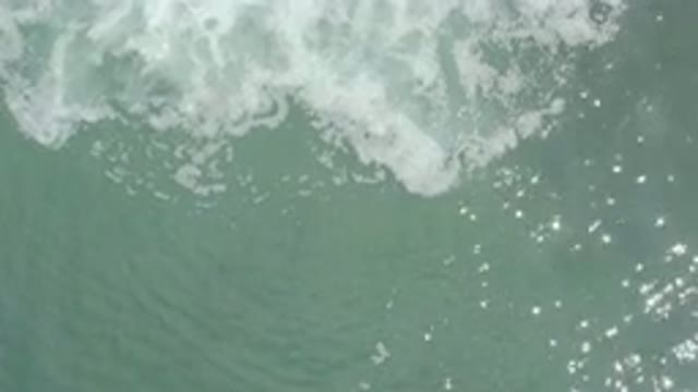 LOS CABOS MEXICO-2020: The Foamy Green Surf Floating Along In The Rippling Water