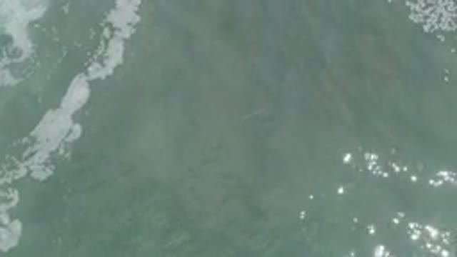 LOS CABOS MEXICO-2020: Calm Gentle Turquoise Ocean Waves Sea Foam Bouncing