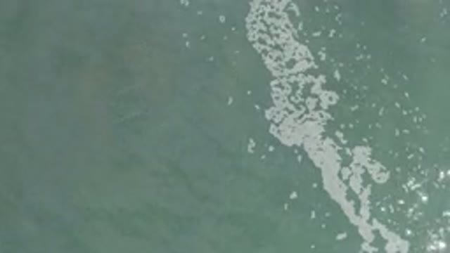 LOS CABOS MEXICO-2020: Water Zooming Into Swimming Fish Rippling Bubbles Dirty