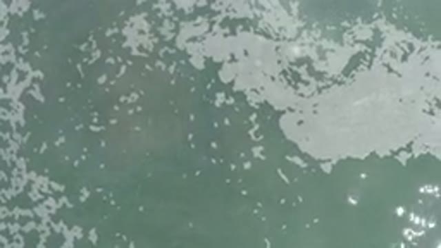 LOS CABOS MEXICO-2020: The Calming Green Water