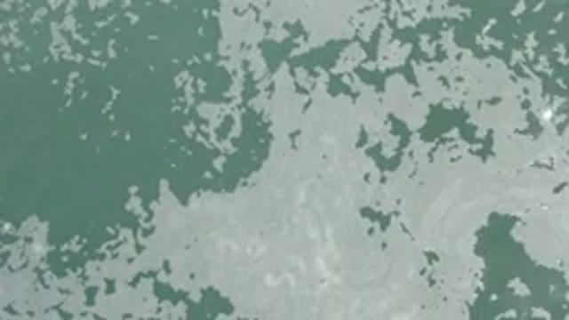 LOS CABOS MEXICO-2020: Sea With Foam