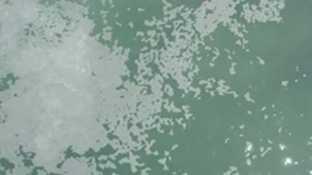 LOS CABOS MEXICO-2020: Observing the Glaring Foamy Water on a Bright Clear Day